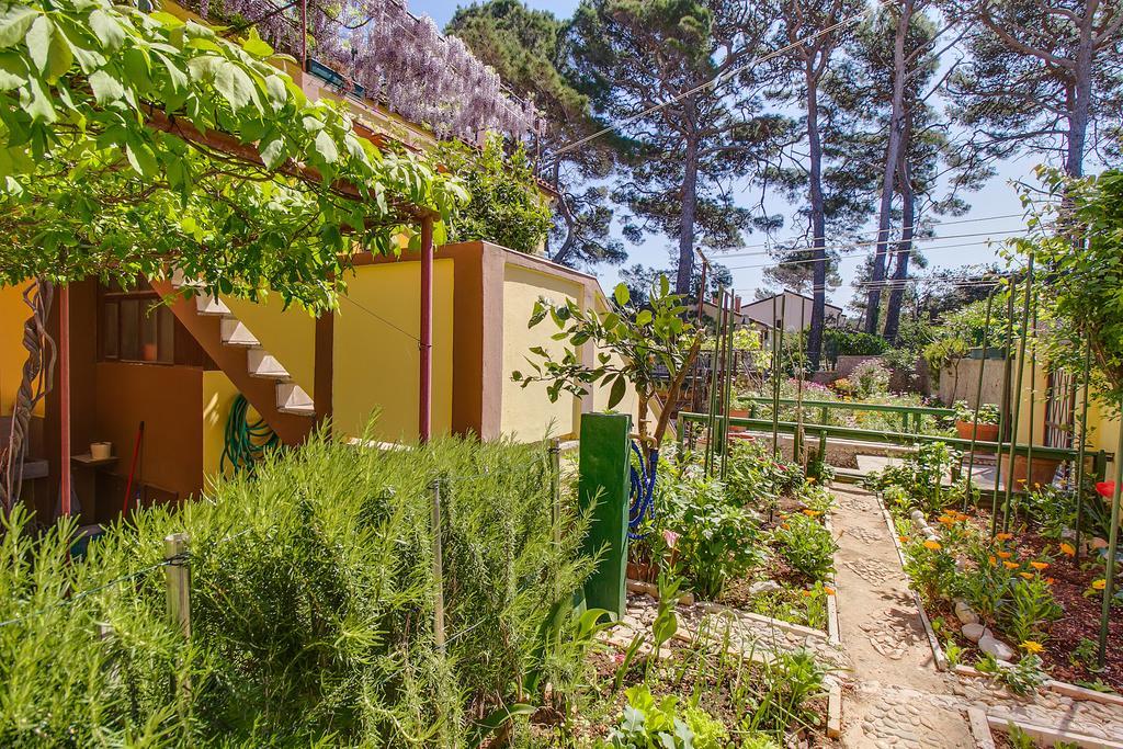 Apartments Petra Mali Losinj Exterior photo